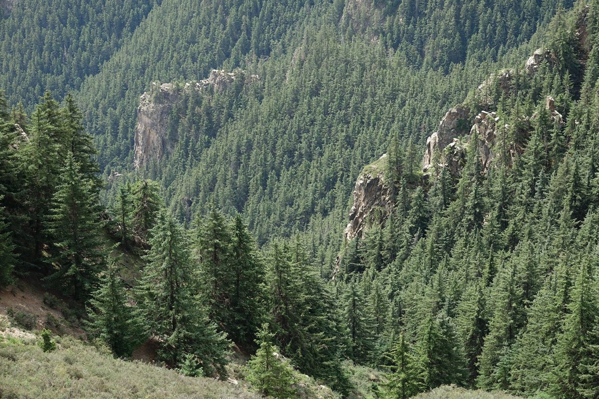 穿越贺兰山随拍