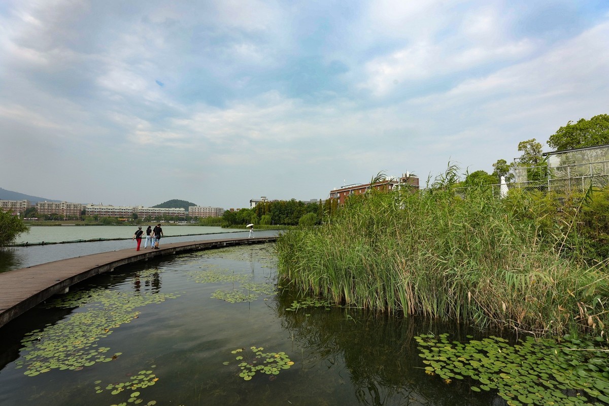 长沙后湖公园1