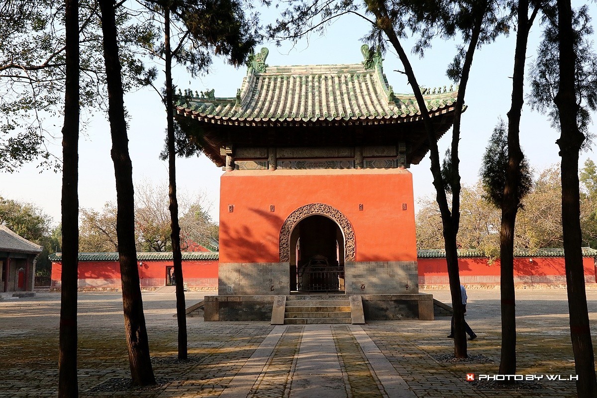 伟人说要留作反面教材——袁林