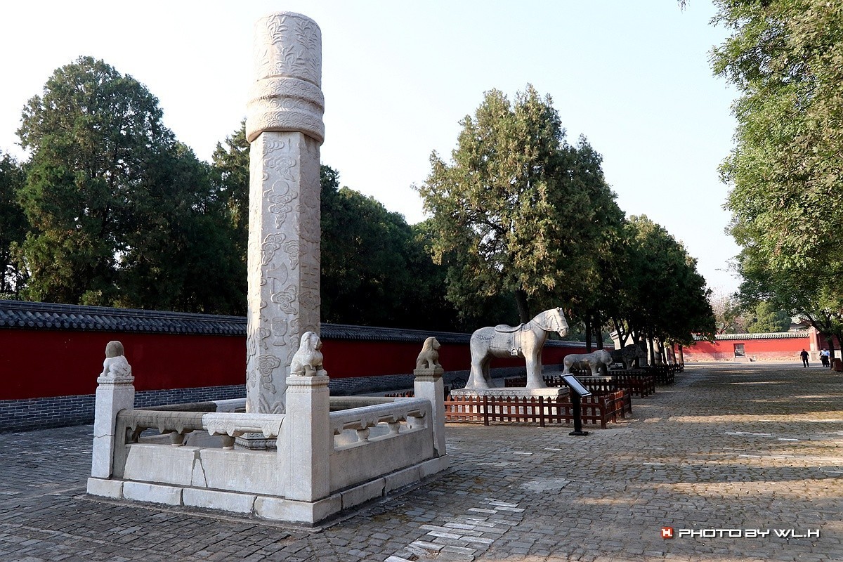 伟人说要留作反面教材——袁林