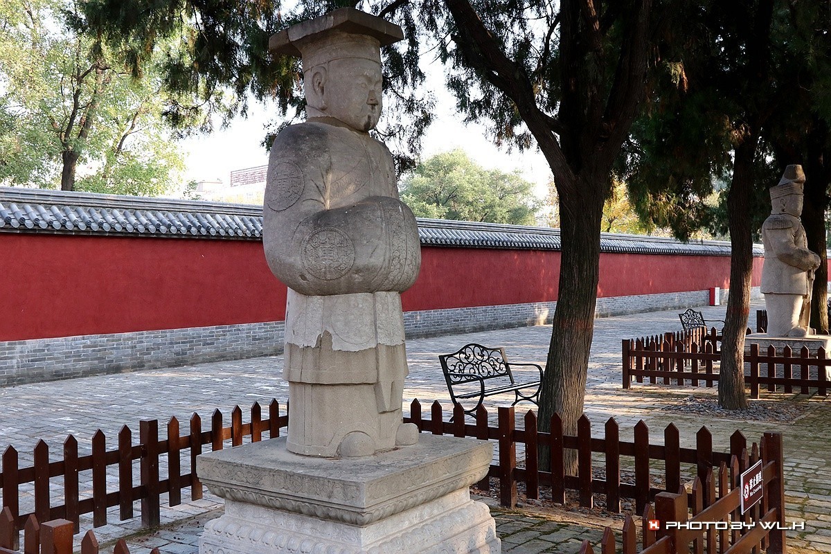 伟人说要留作反面教材——袁林