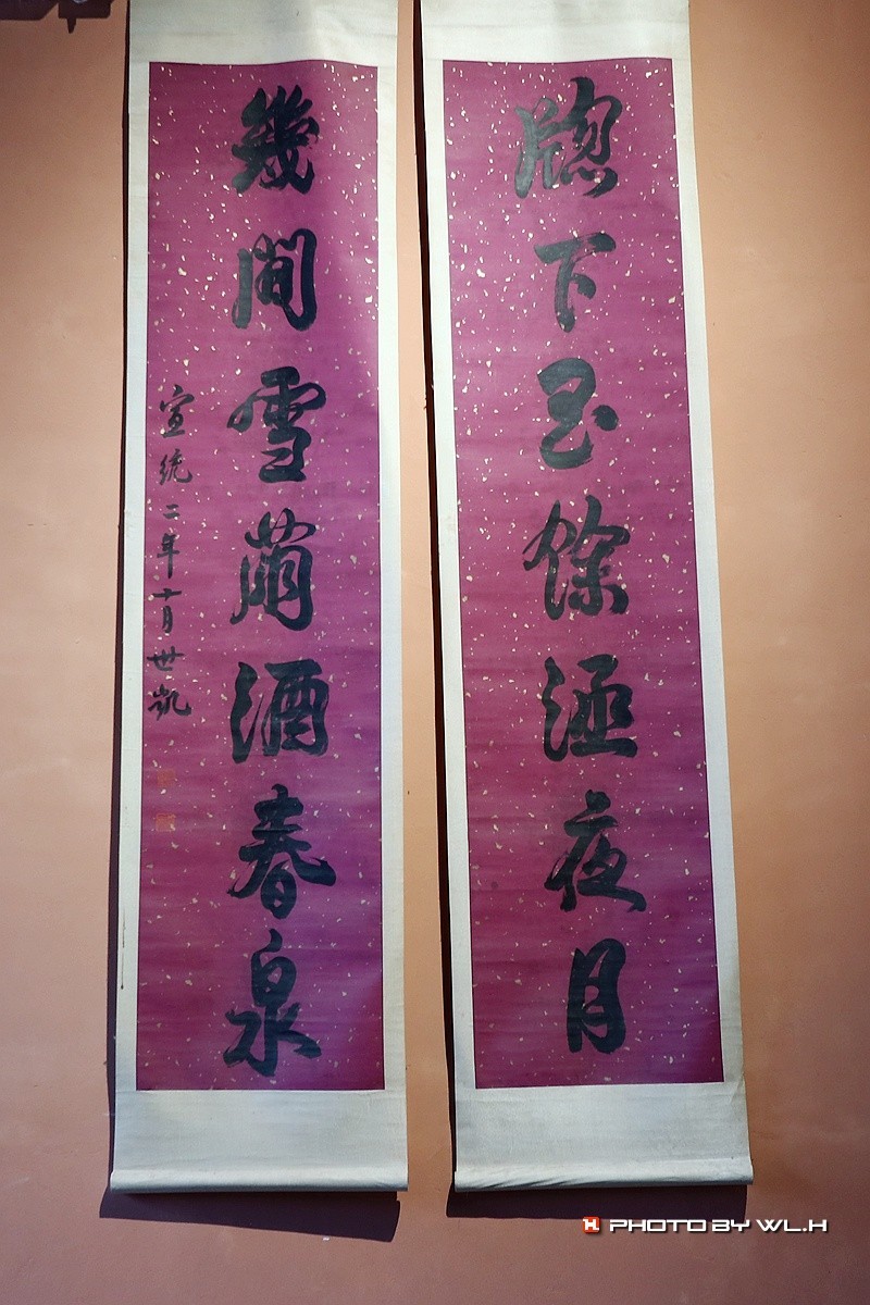 伟人说要留作反面教材——袁林