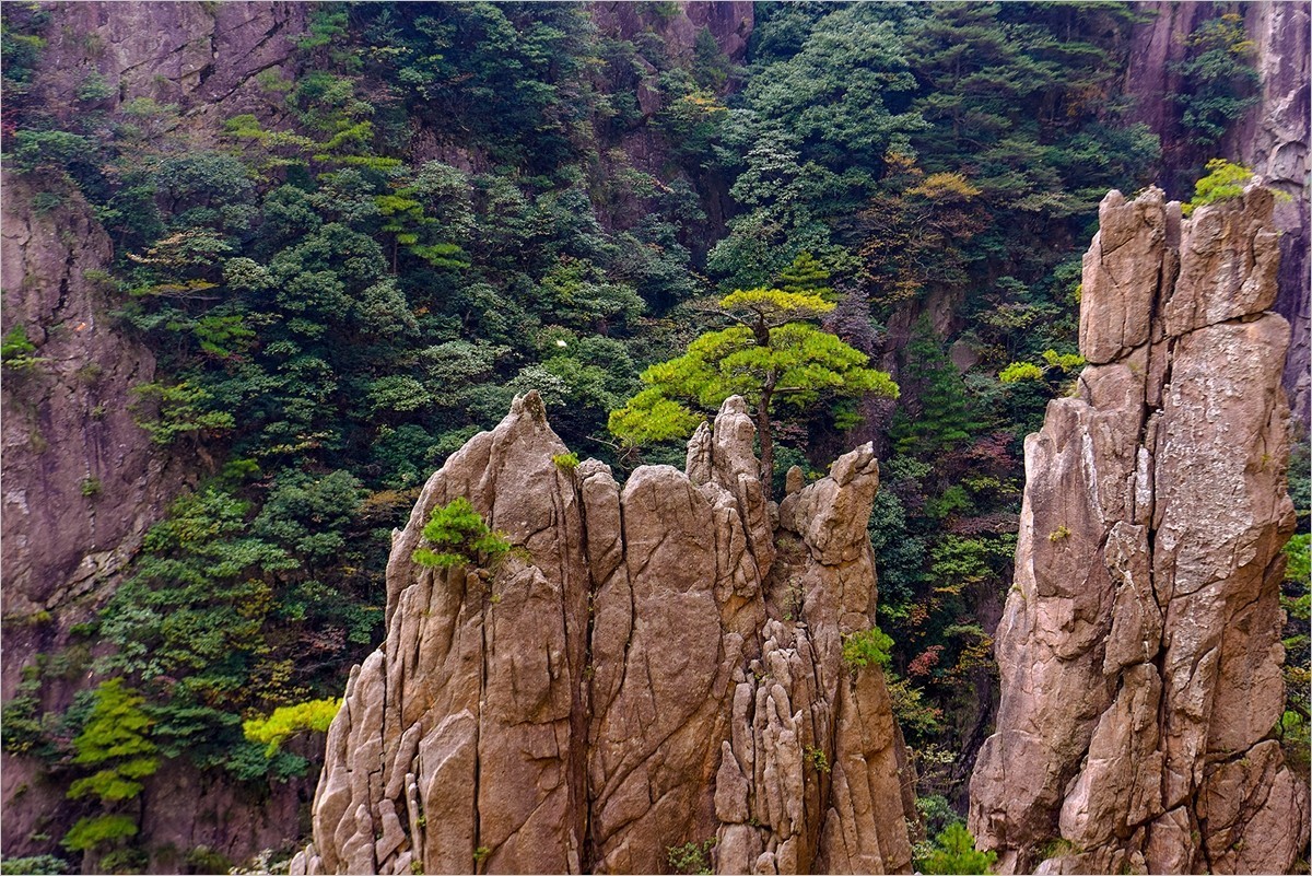 2024年第0803贴-黄山风光纪实游拍（1025）