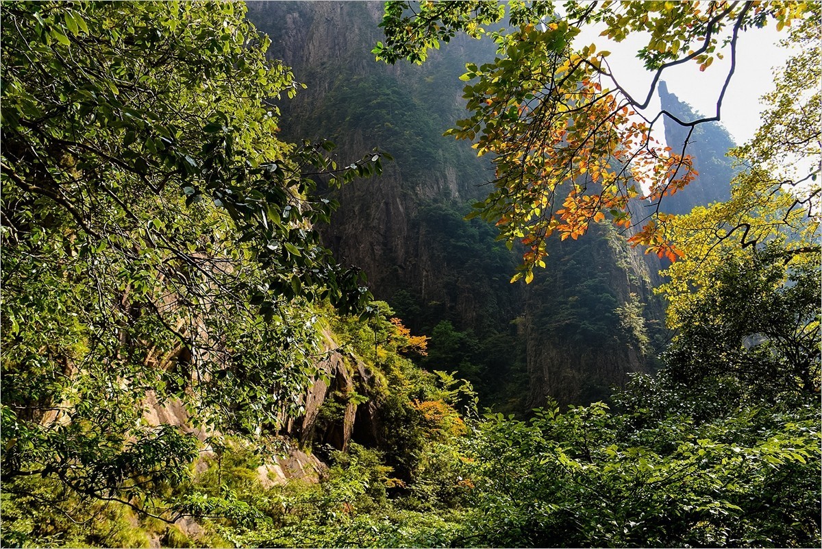 2024年第0803贴-黄山风光纪实游拍（1025）