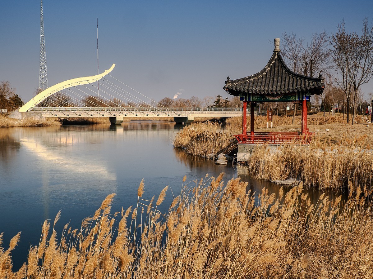 水边的建筑和一只狗狗（OM1MarkⅡ）