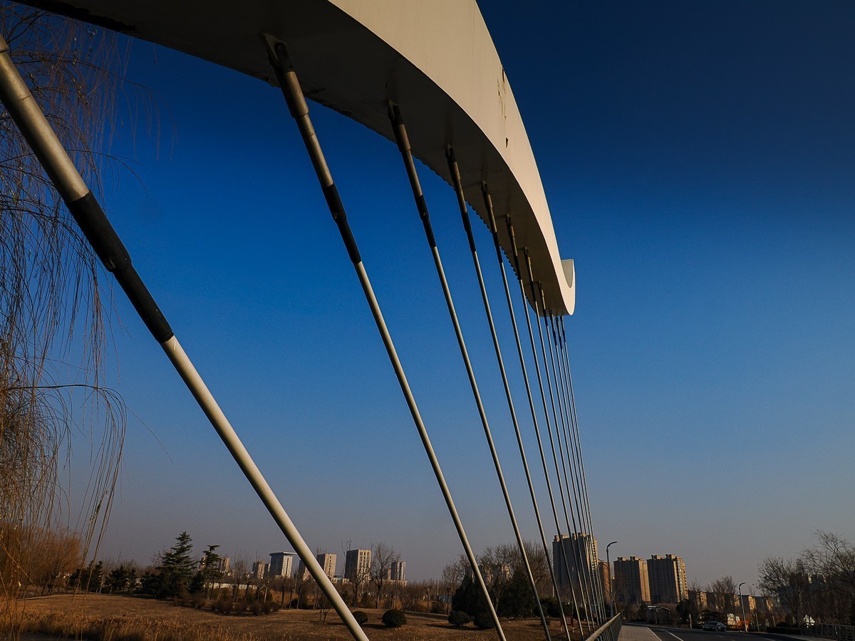 水边的建筑和一只狗狗（OM1MarkⅡ）