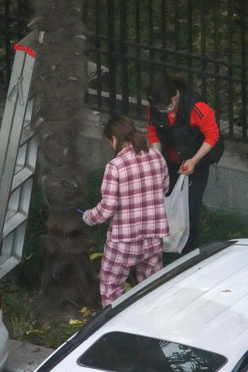 八楼视角4----上树求菜