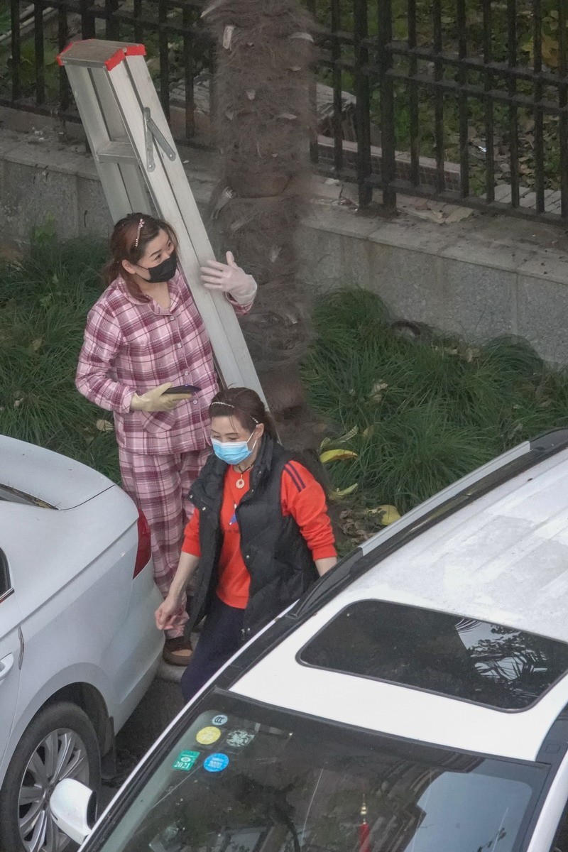 八楼视角4----上树求菜