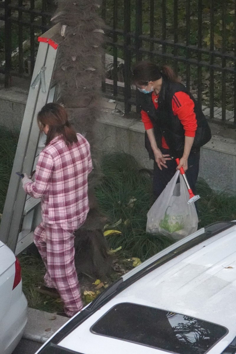 八楼视角4----上树求菜