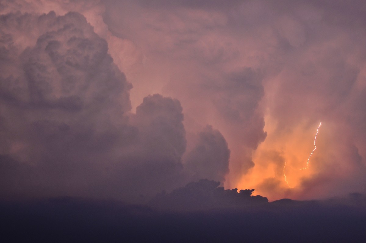 新晋大竹炮，经验还不足，请色友拍砖指教