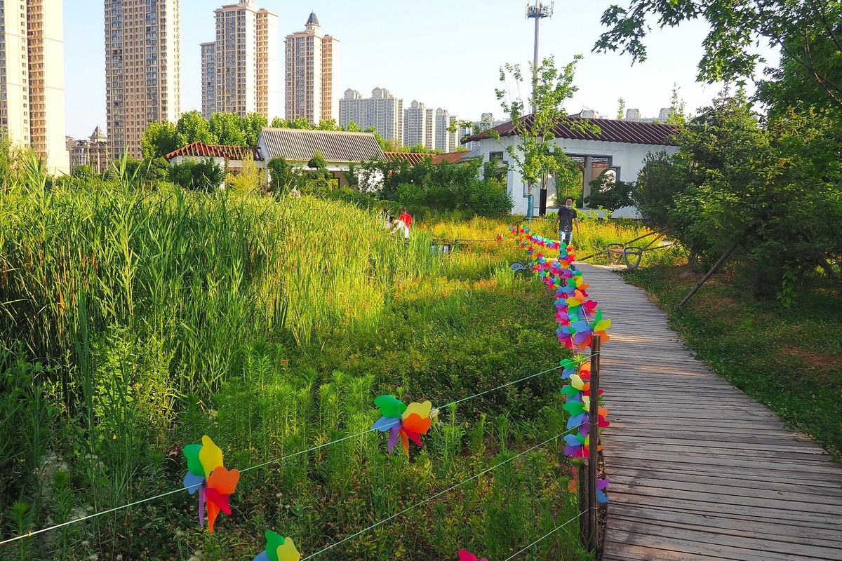 夏日清晨的昆仑公园