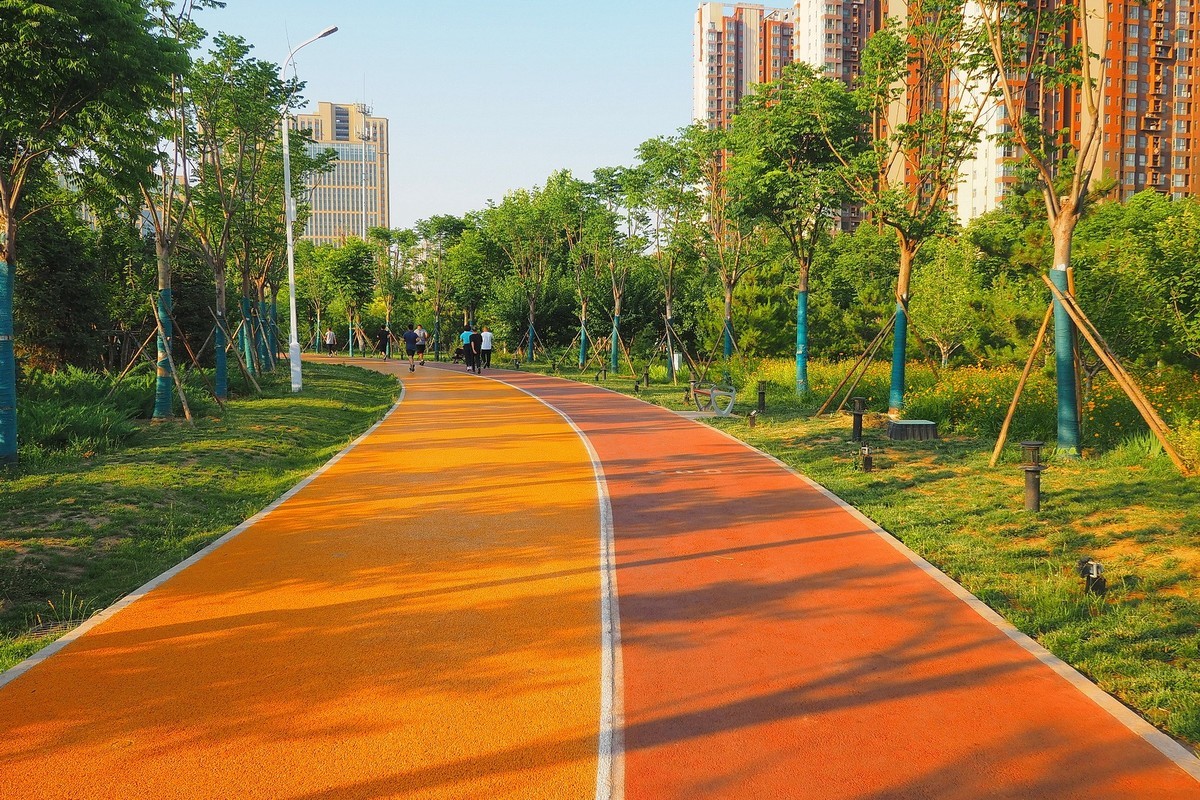 夏日清晨的昆仑公园