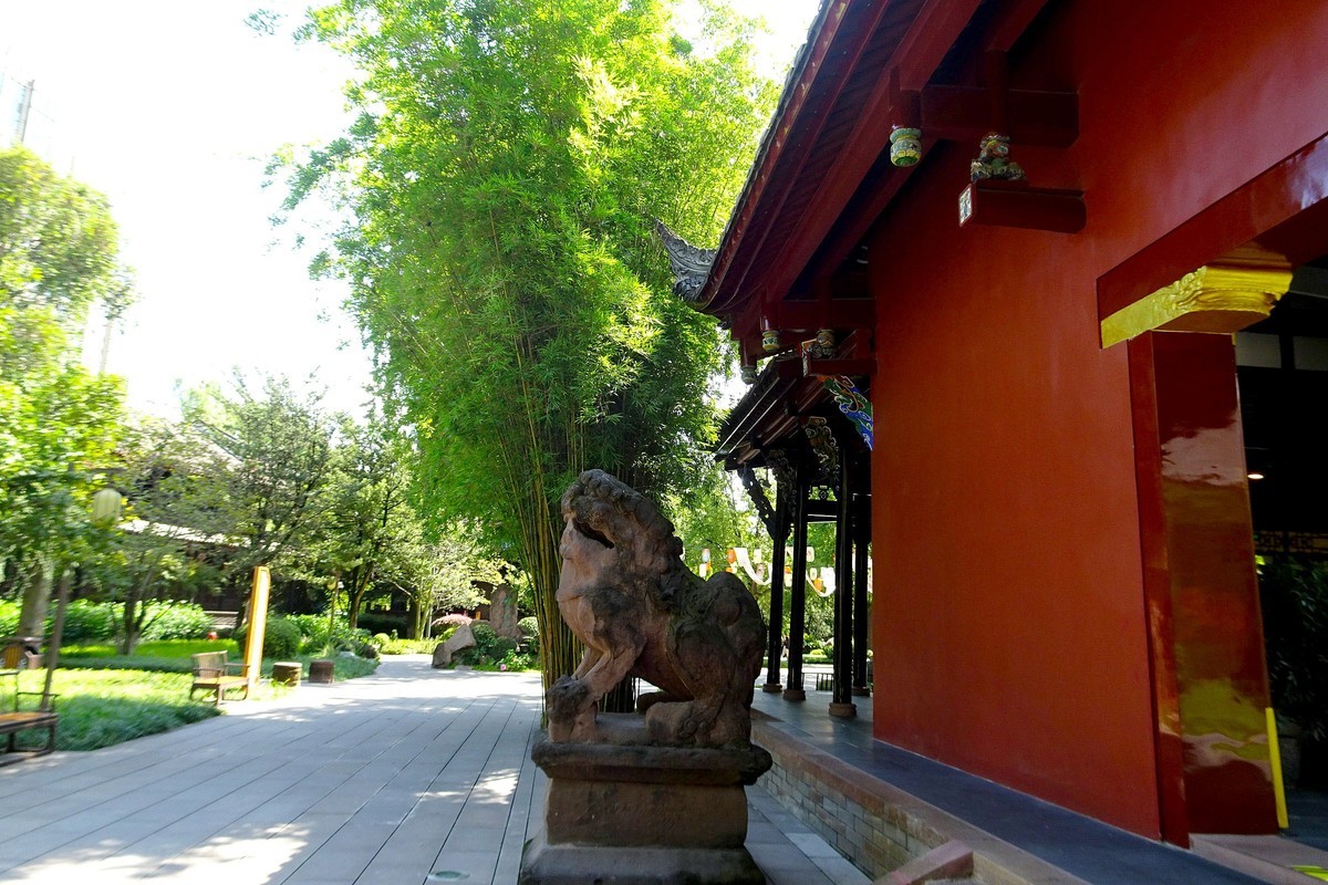 望江楼的翠竹竹影