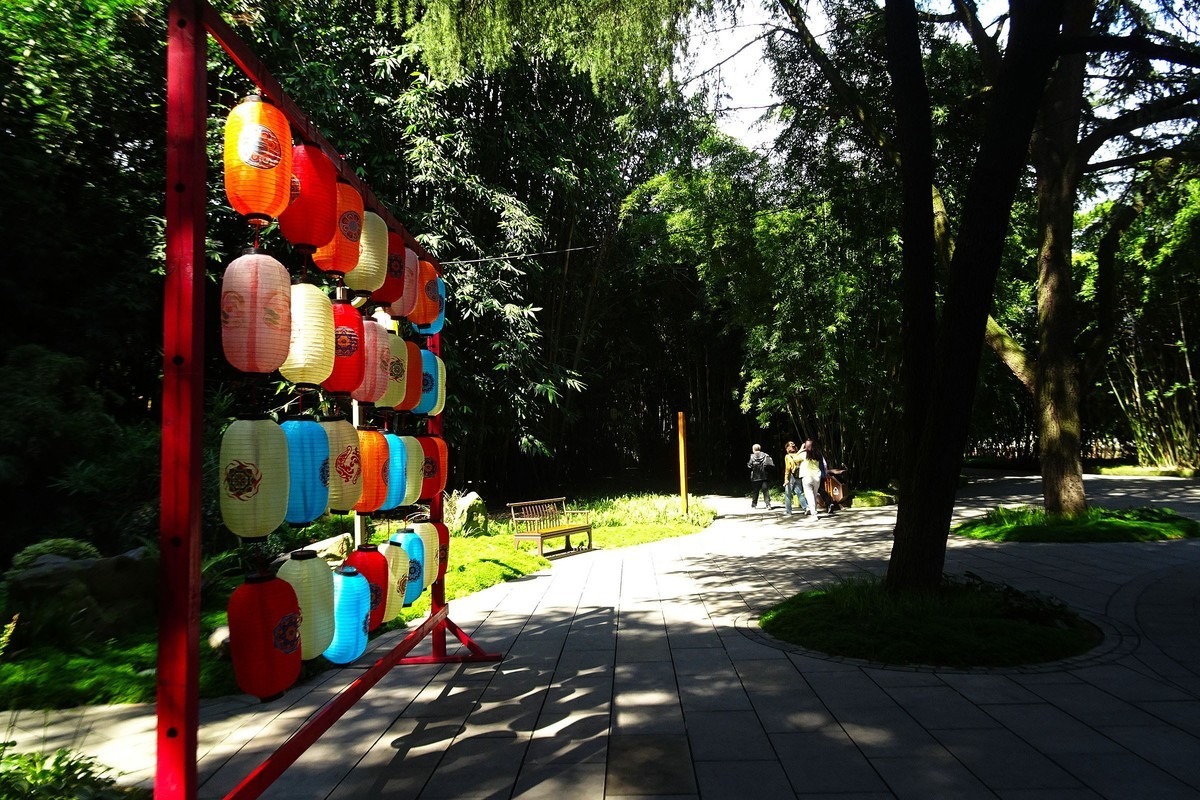 望江楼的翠竹竹影