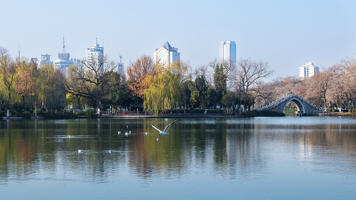 《包公园拍红嘴鸥》(32-64mm镜头）