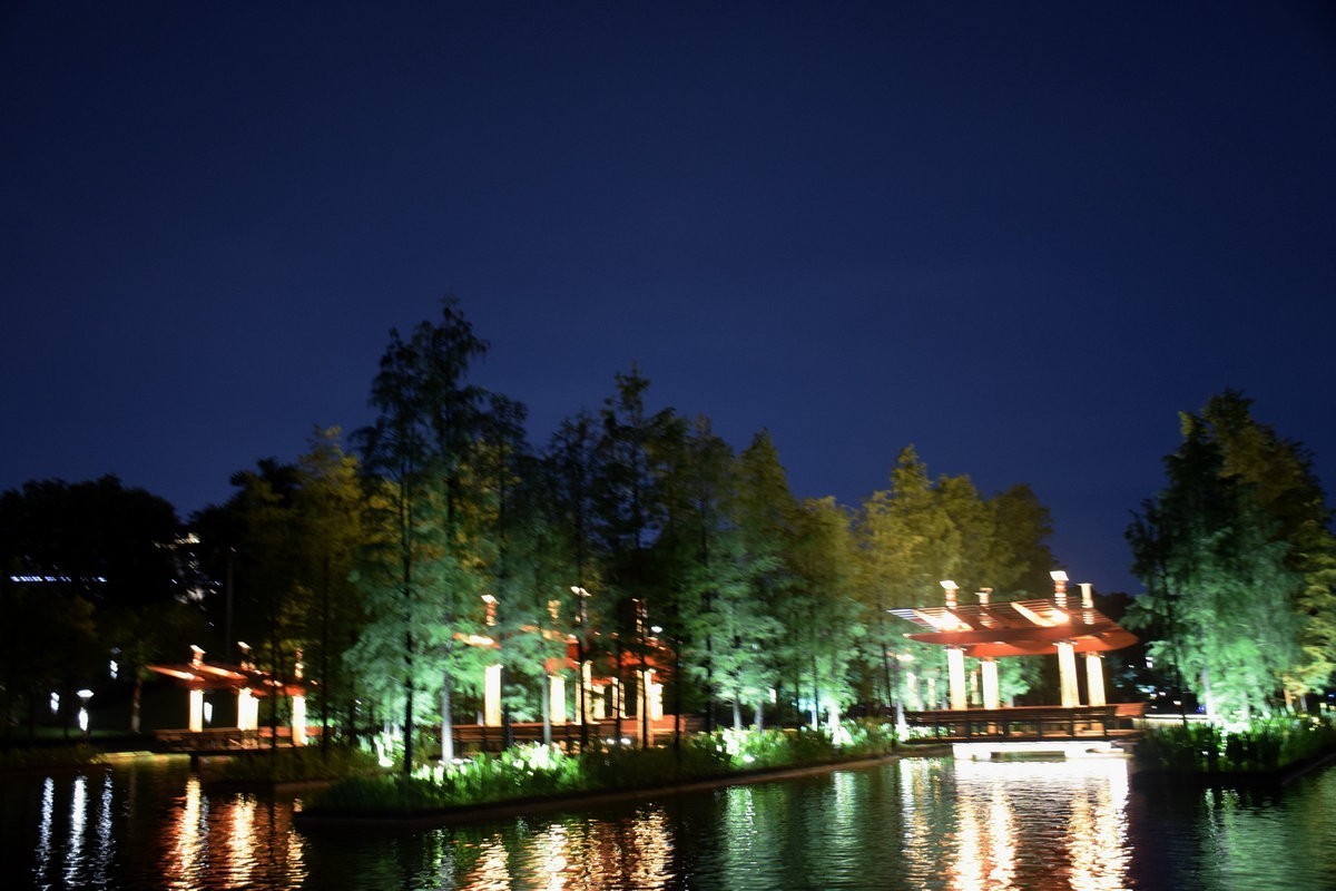 2023秋 广东行（23）叠滘龙舟披夜色