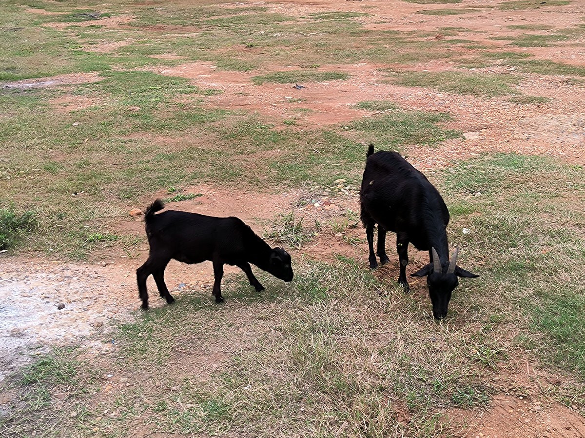 漫步星城 走街串巷（499）浏阳河畔