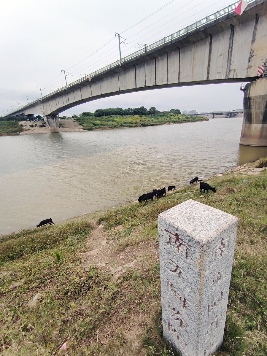 漫步星城 走街串巷（499）浏阳河畔