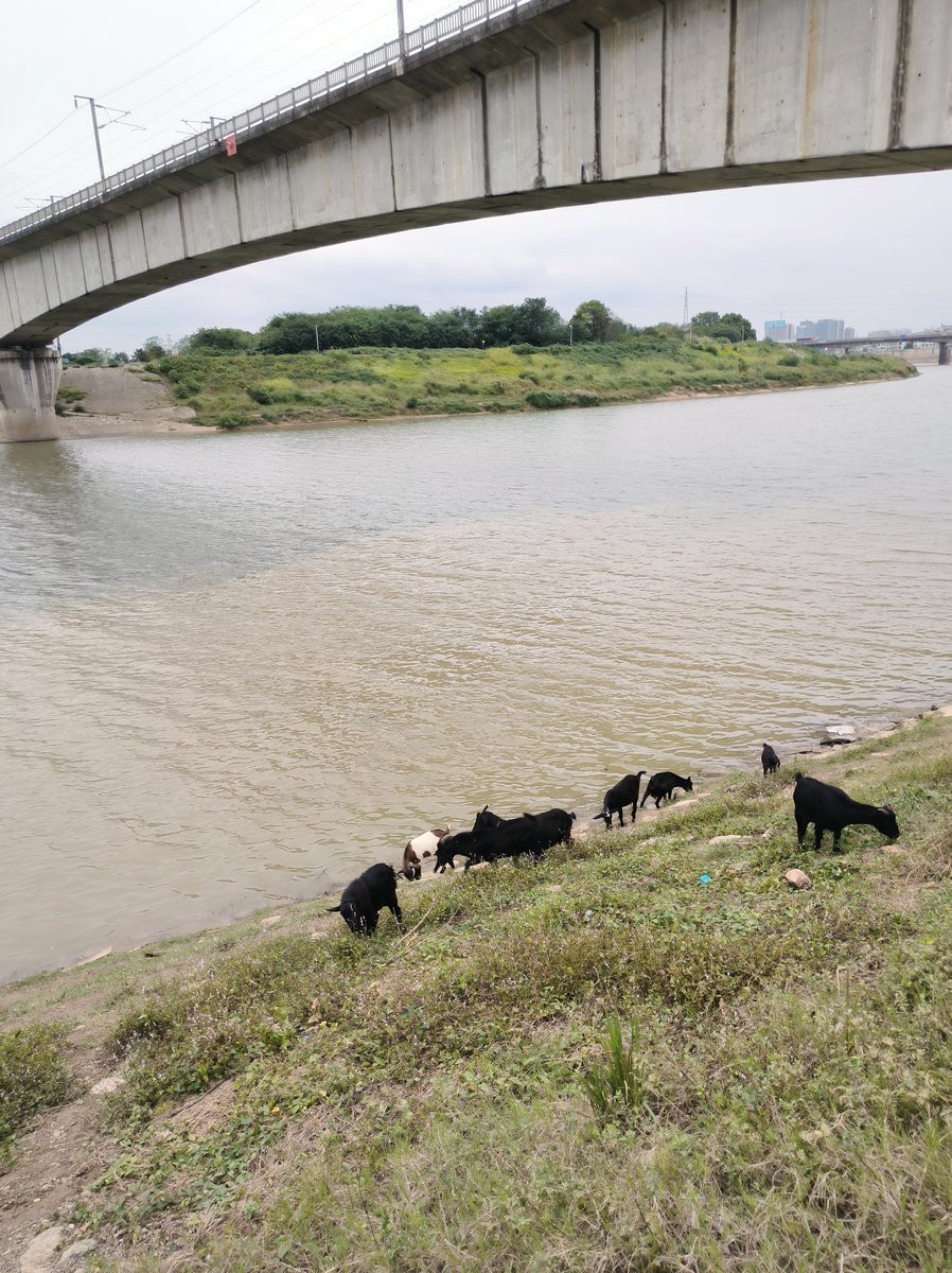 漫步星城 走街串巷（499）浏阳河畔