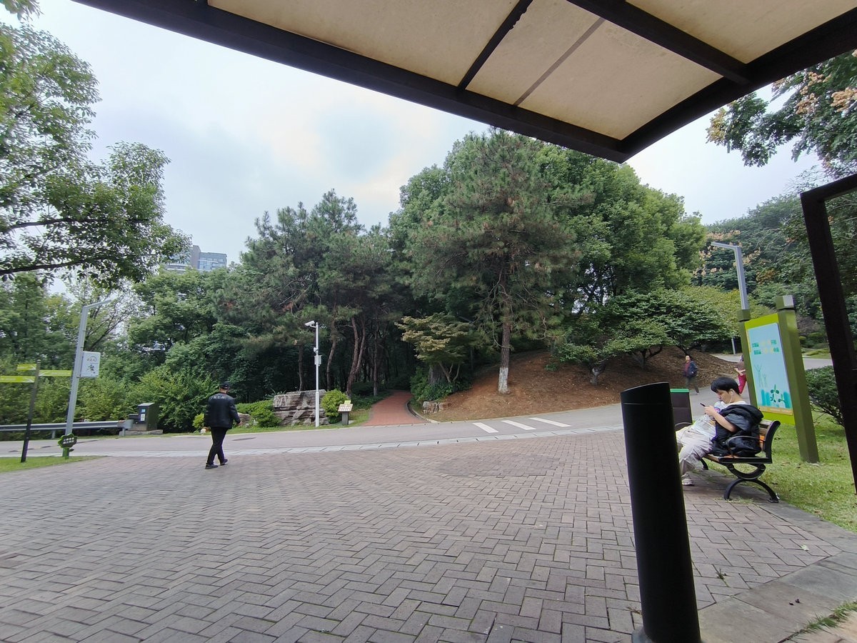 漫步星城 走街串巷（501）沙湾公园