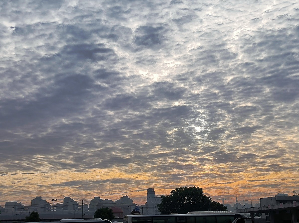 漫步星城 走街串巷（501）沙湾公园