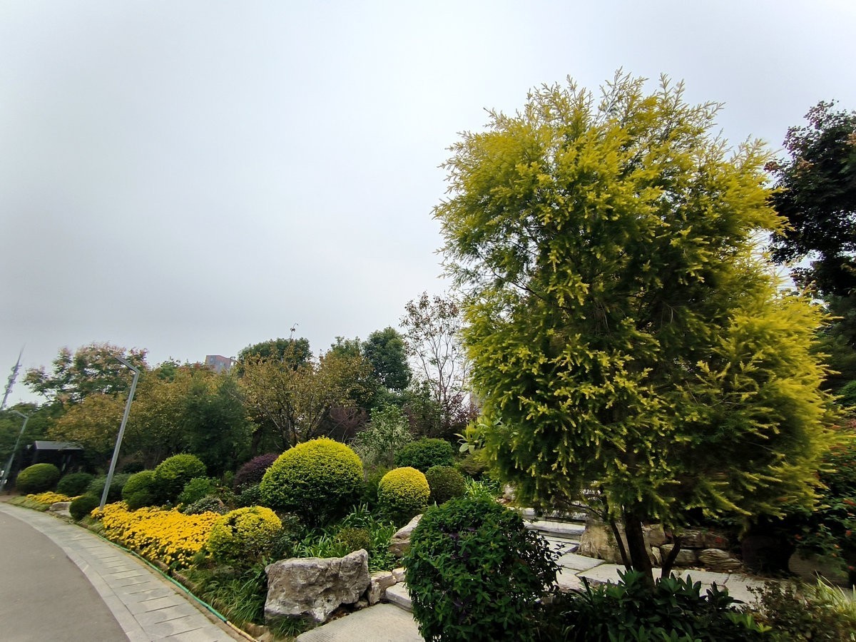 漫步星城 走街串巷（501）沙湾公园