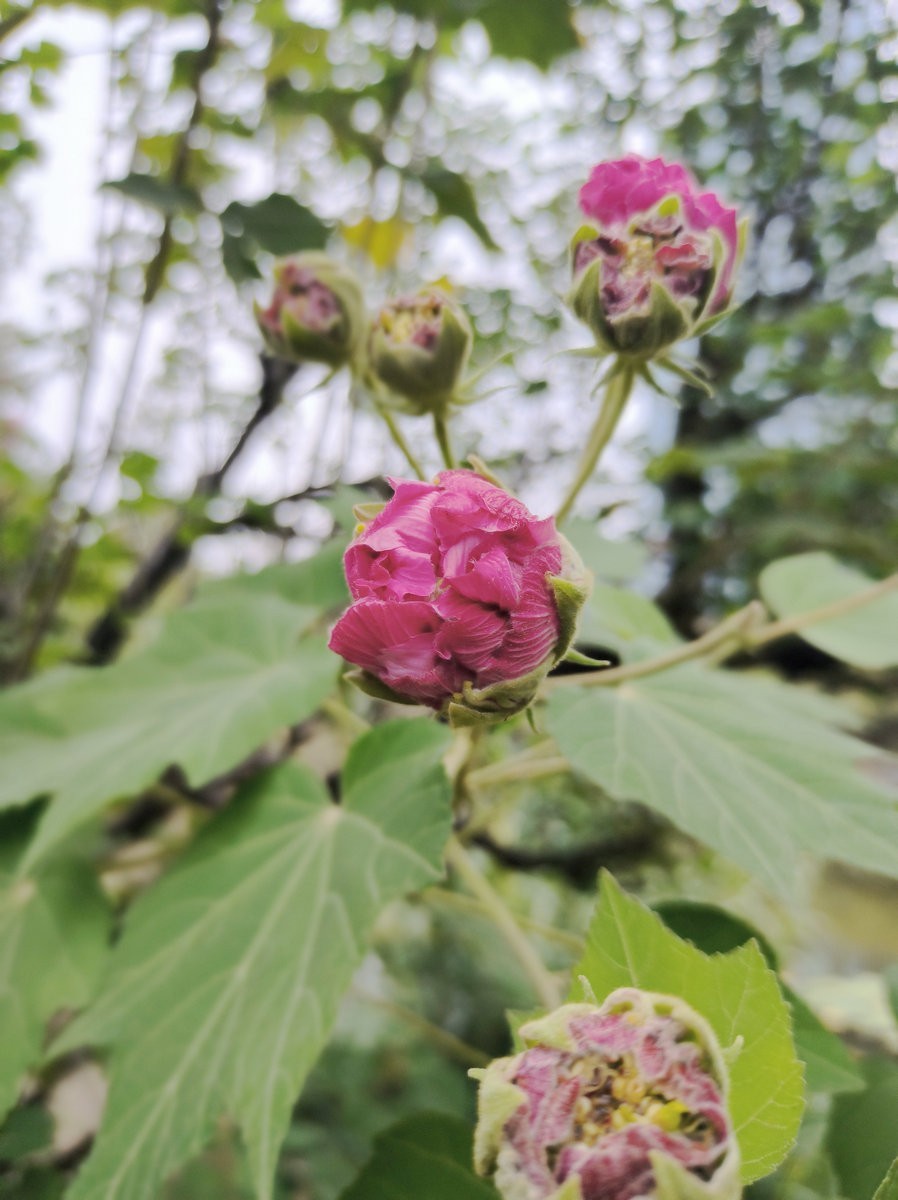 漫步星城 走街串巷（501）沙湾公园