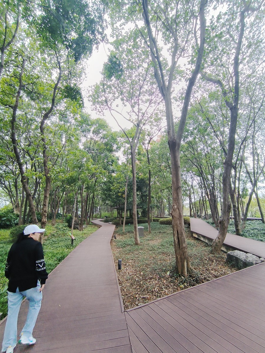 漫步星城 走街串巷（501）沙湾公园