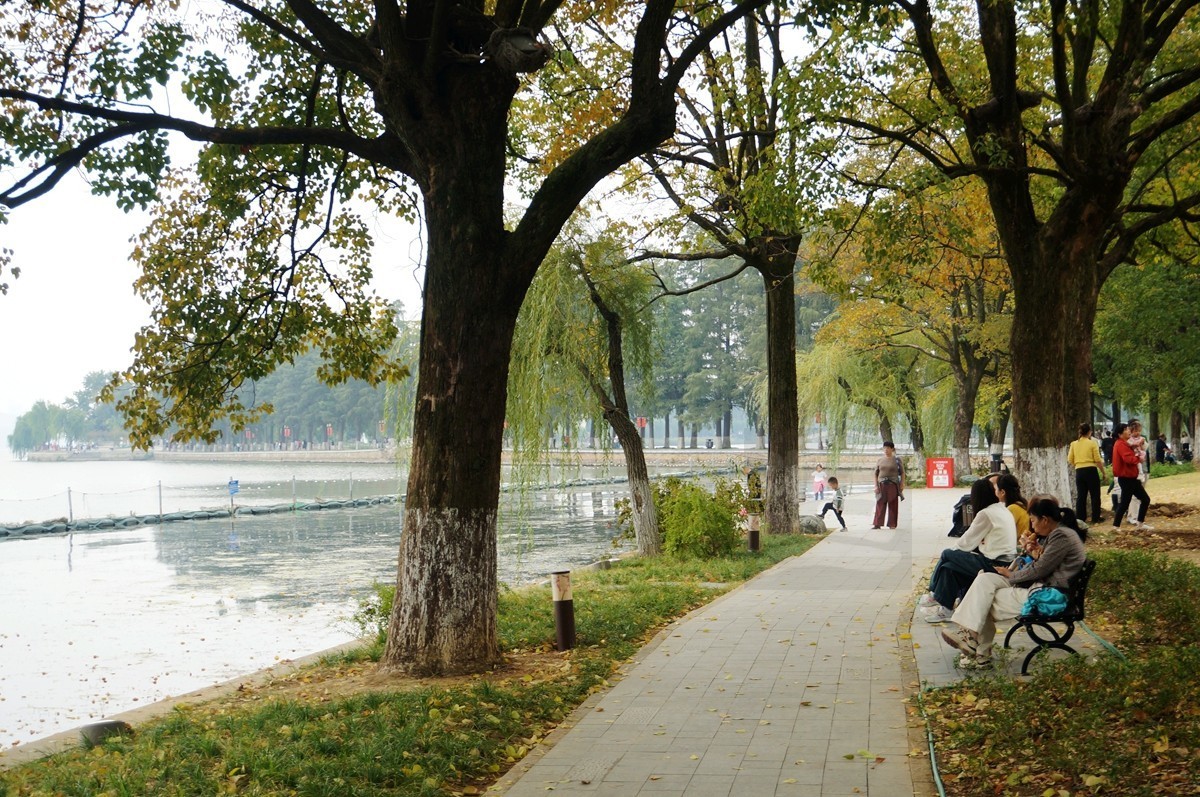 湖畔散步——武汉随笔