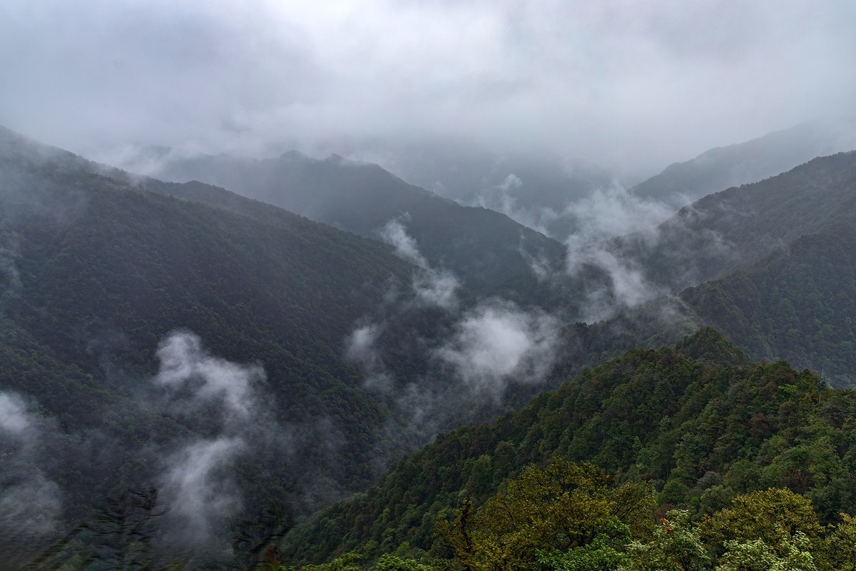 旅游记录 ：贵州 · 铜仁 · 雨雾中的梵净山