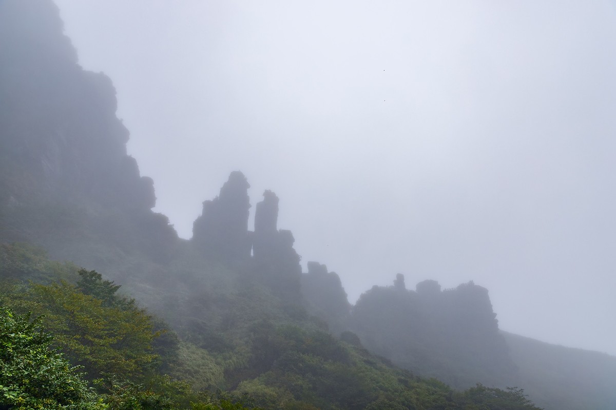 旅游记录 ：贵州 · 铜仁 · 雨雾中的梵净山