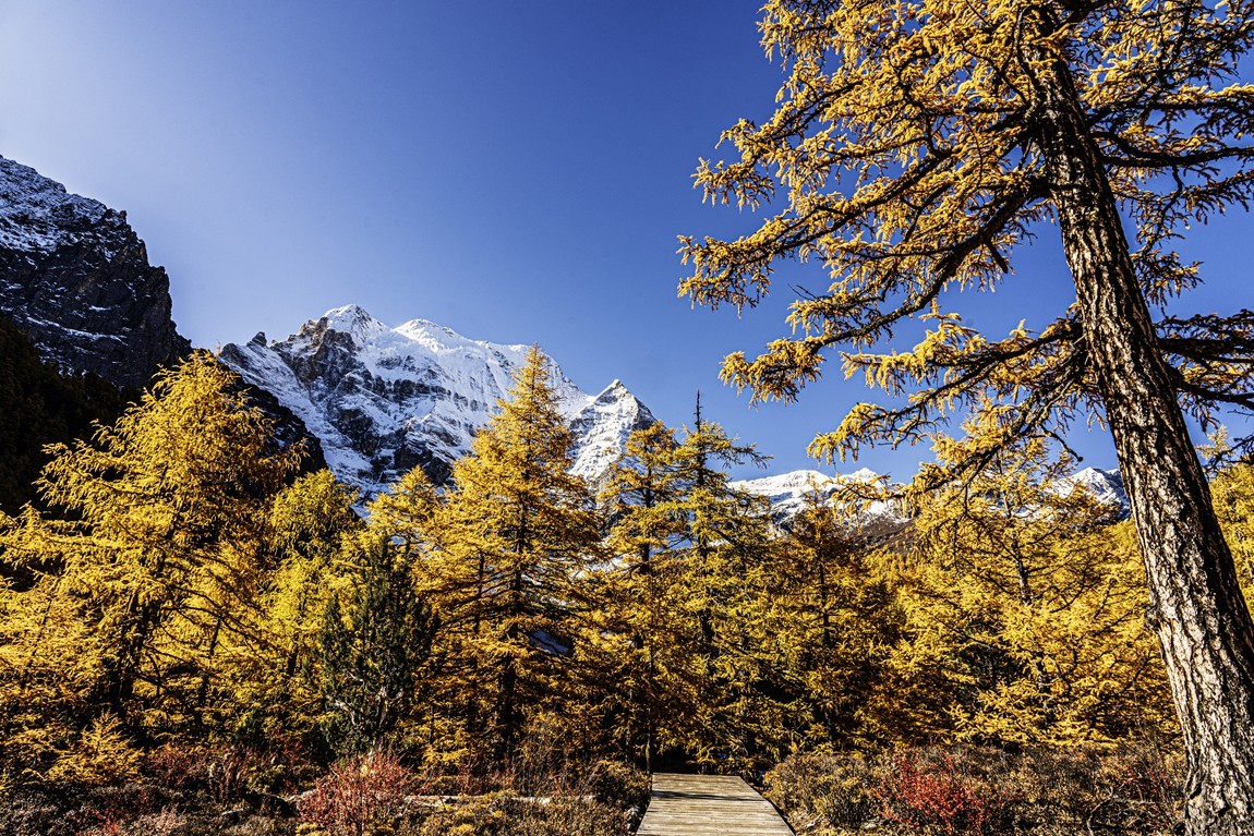仙乃日--稻城亚丁三神山之首【5】