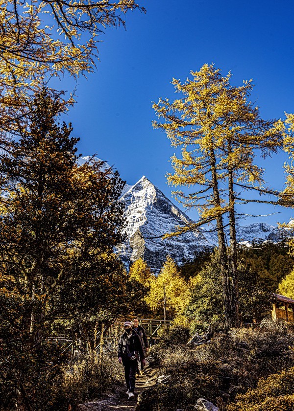 仙乃日--稻城亚丁三神山之首【5】