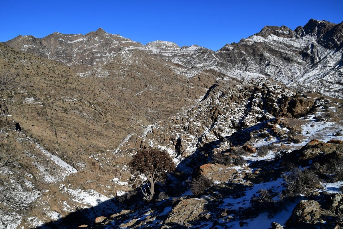 雪后去爬贺兰山