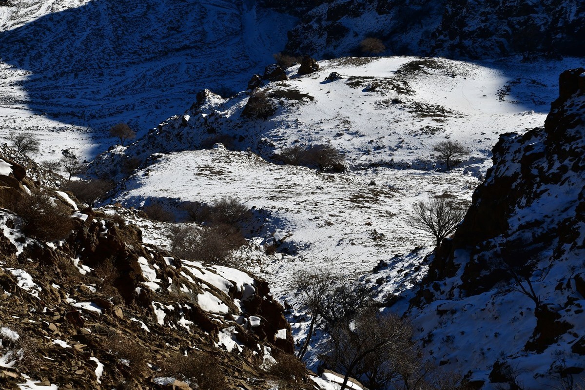 雪后去爬贺兰山