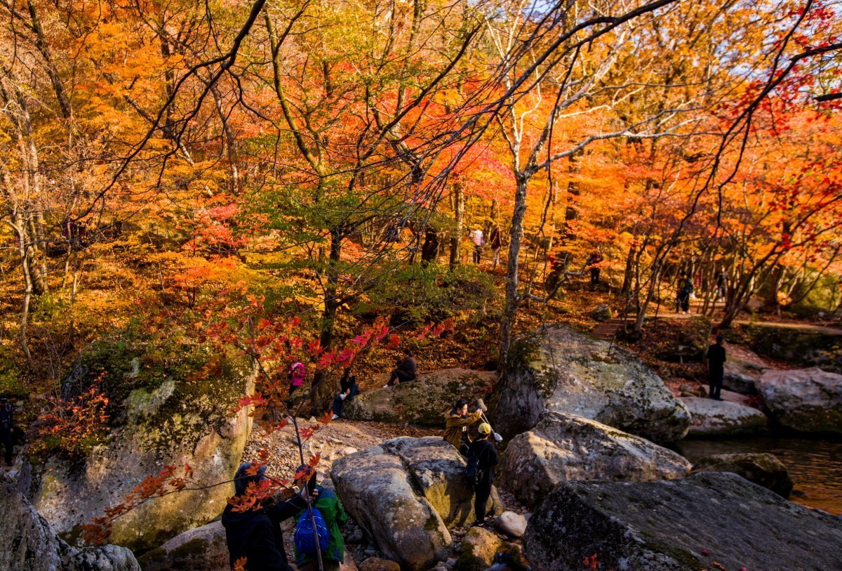 外出随拍（续311）.