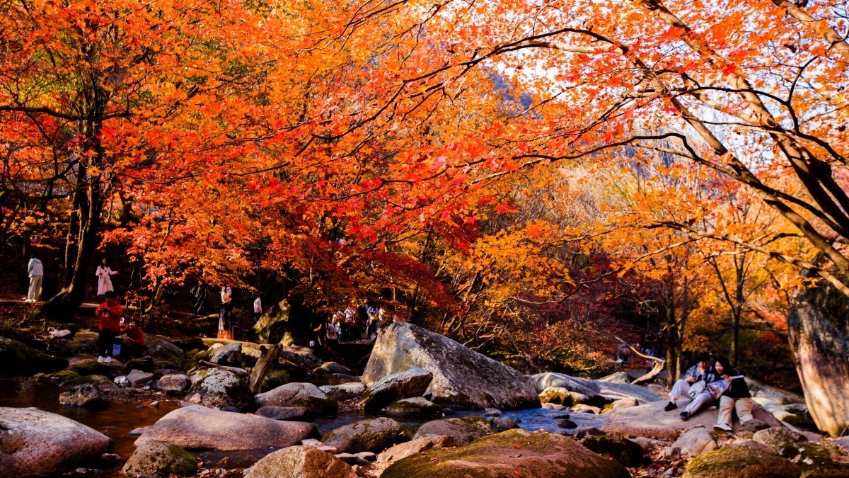 外出随拍（续311）.