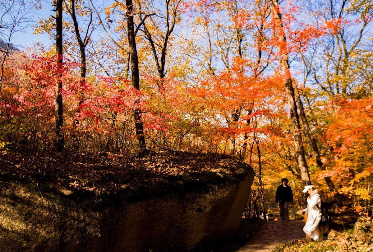 外出随拍（续311）.