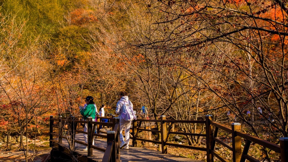 外出随拍（续311）.