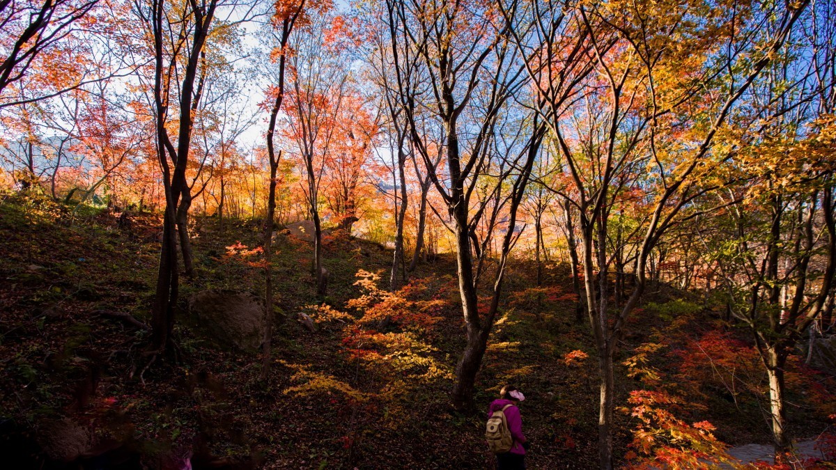 外出随拍（续311）.