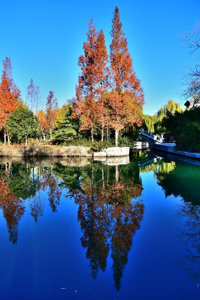 【视觉光影】明 湖 秋 色（6）