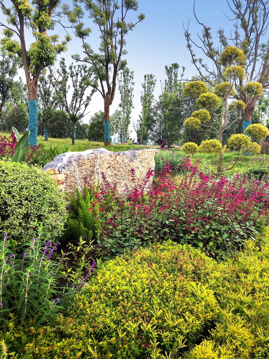 玉泉湖公园小景（第五集，续完）——11P