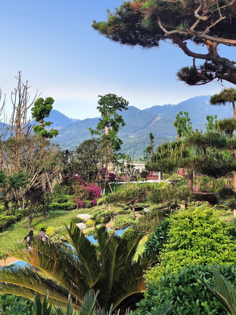 玉泉湖公园小景（第五集，续完）——11P