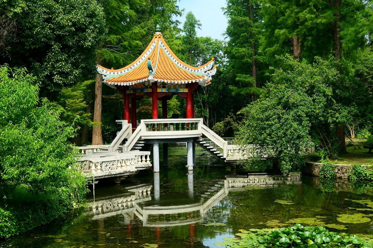 植物园随拍四（完）