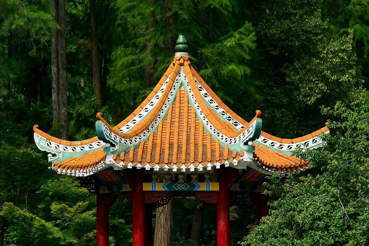 植物园随拍四（完）