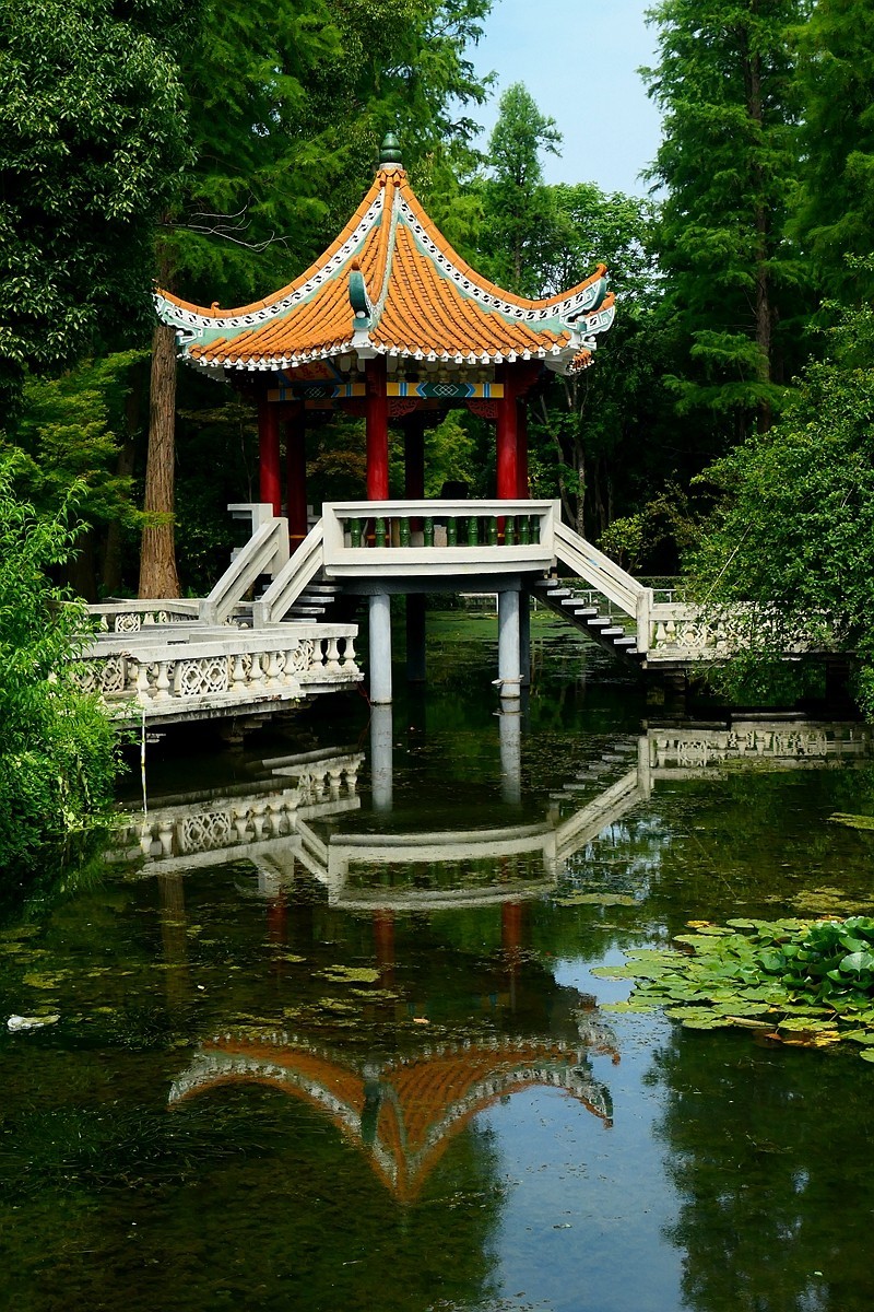 植物园随拍四（完）