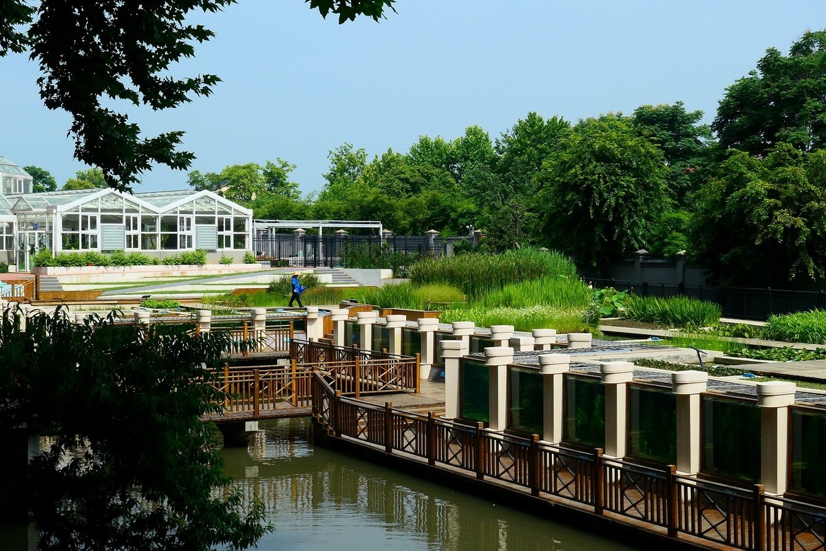 植物园随拍四（完）