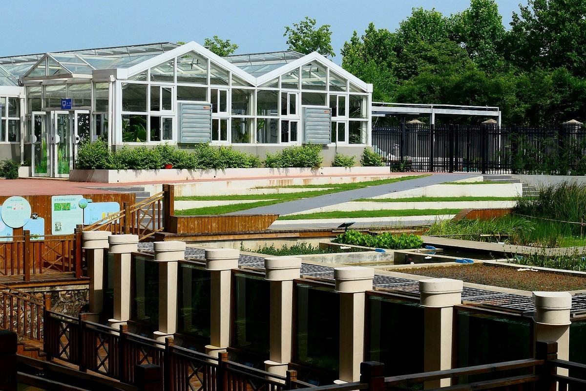 植物园随拍四（完）