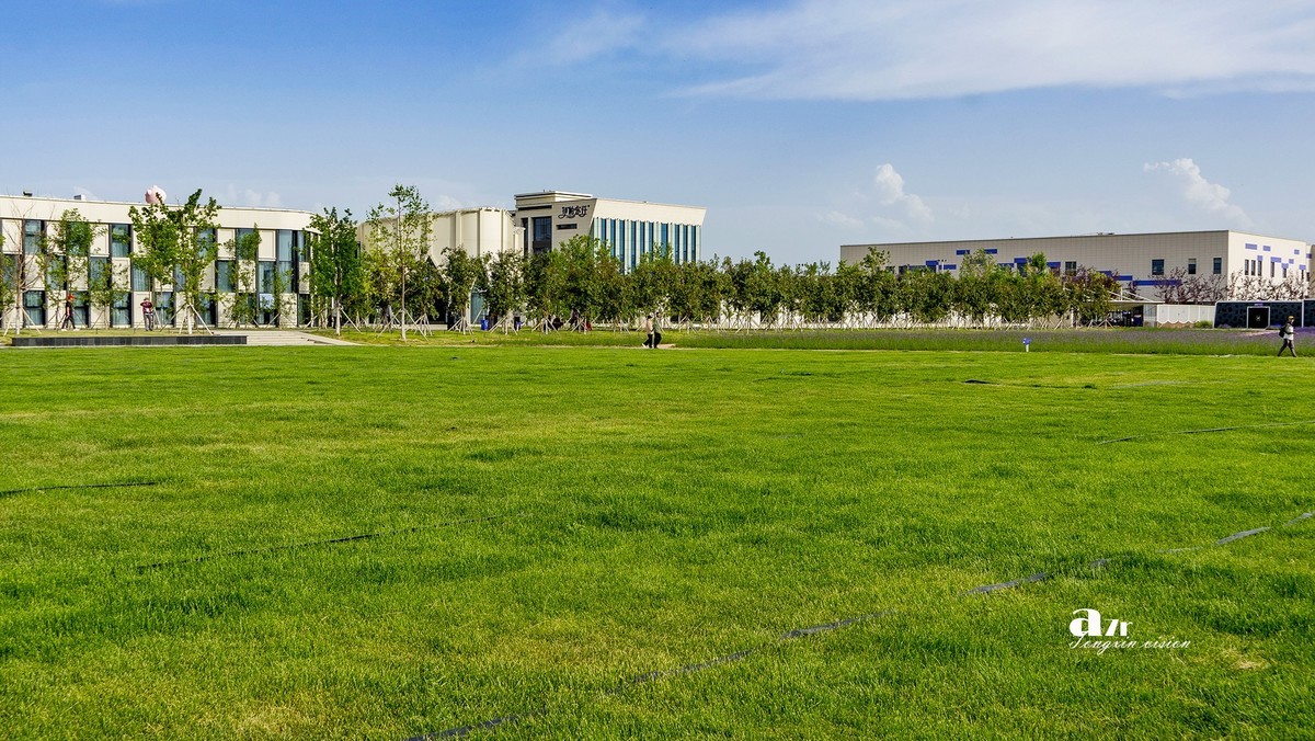 可克达拉薰衣草庄园（1）