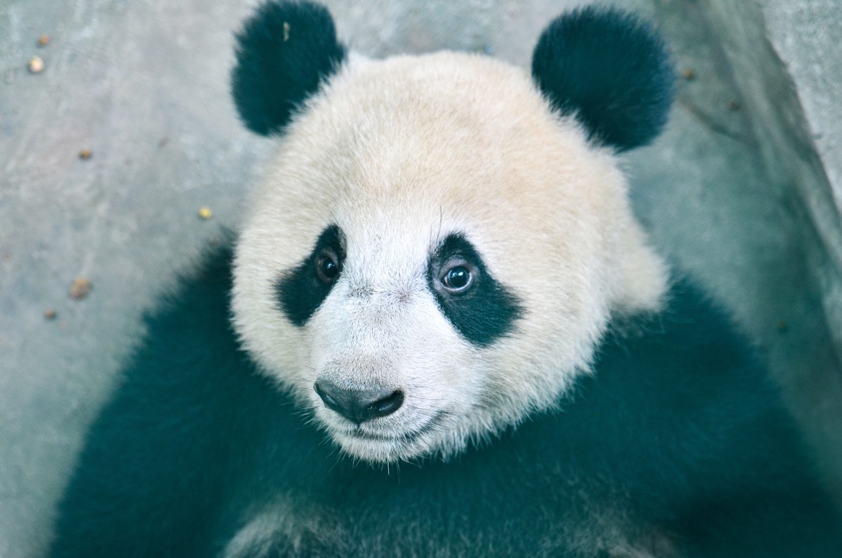 新晋大竹炮，经验还不足，请色友拍砖指教